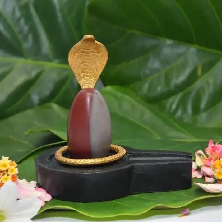Premium 2 Inch Original Narmadeshwar Shivling with 4 Inch Jaladhari & Golden Naag | Handcrafted Sacred Shivling for Home Temple